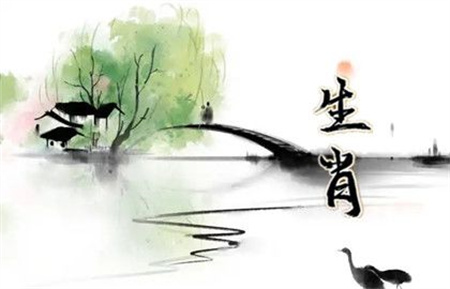 2024年11月28日冲什么生肖