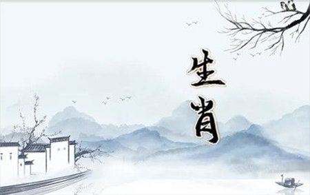 2024年12月8日冲什么生肖