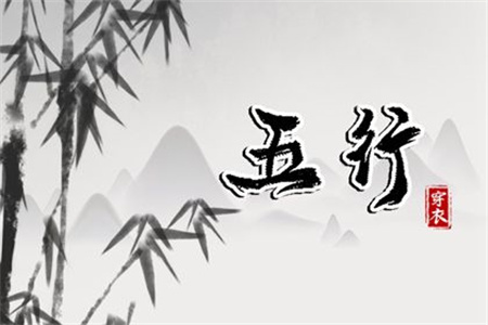 2025年3月11日五行穿衣指南