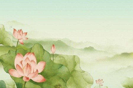 2024年生肖兔的幸运色是什么