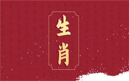 2024年12月10日冲什么生肖